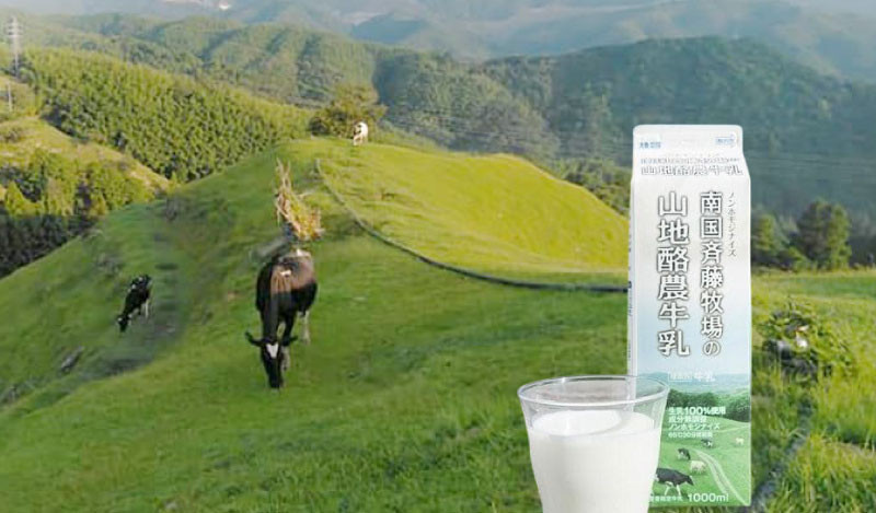 
            【定期便】山地酪農牛乳【週1回配送／20回】【低温殺菌 自然放牧 こだわり おいしい 牛乳 ミルク 朝食  人気 おすすめ 高知県 南国市】
          