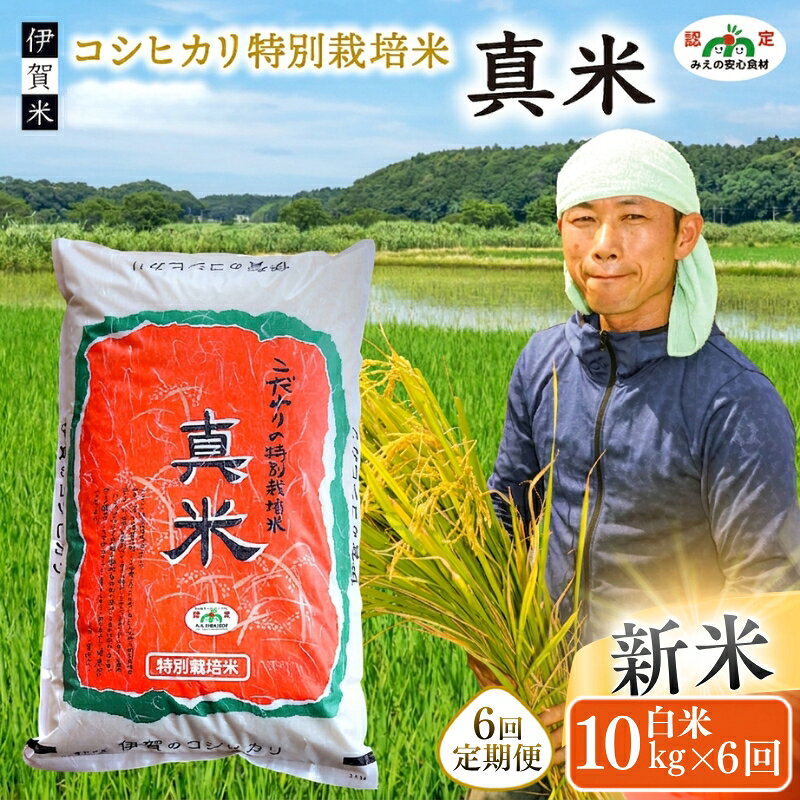 【ふるさと納税】米 伊賀米 令和8年産新米 《伊賀米コシヒカリ特別栽培米「真米」白米10kg×6回》（お届け定期便）/ 「伊賀米の中でも厳選された特別栽培米の 真米 を全6回お届け！」米 特別栽培米 こめ お米 伊賀米 コシヒカリ 三重 送料無料 三重県伊賀市