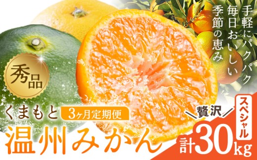 秀品 温州みかん 3ヶ月 定期便 スペシャル 計30kg 日本フルーツ株式会社《10月上旬-12月末頃出荷》熊本県 荒尾市 みかん 温州みかん ミカン 蜜柑 柑橘類 極早生 早生 中生 果物 フルーツ