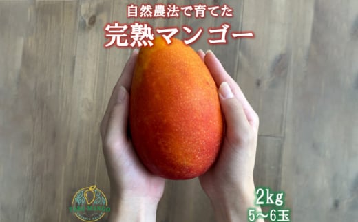 
田場農園の栽培期間中農薬不使用マンゴー2kg(5～6玉)【1386744】

