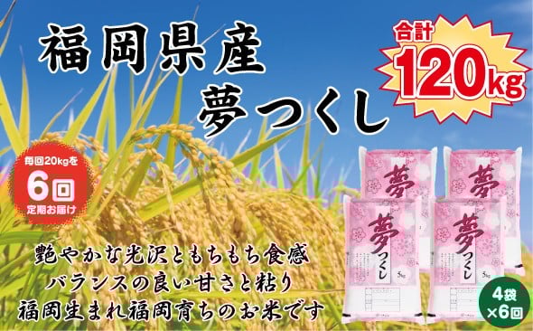 
            【定期便全6回】【令和7年産新米予約】【食味鑑定士厳選】福岡県産 夢つくし20kg (5kg×4袋) 合計 120kg
          