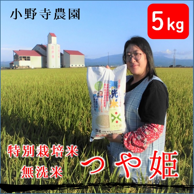 【令和5年産・精米】小野寺農園の【無洗米】つや姫5kg