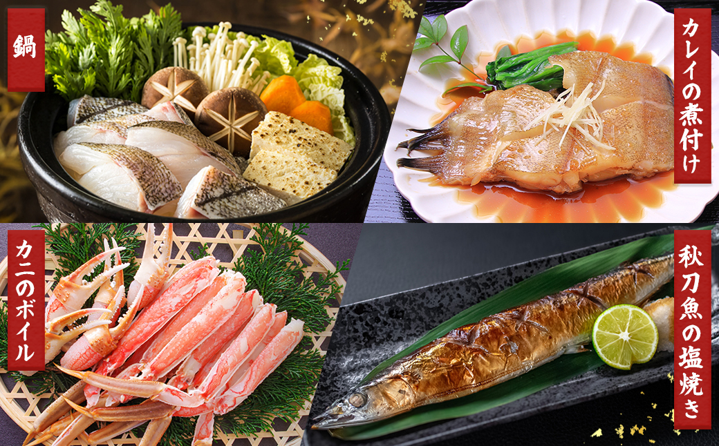 【定期便 2ケ月連続】 お魚の目利きのプロにお任せ！北海道産（国産） 天然 鮮魚 約500g～1kg（釧路の鮮魚セット） 鮮魚 刺身 セット 産地直送 定期便 冷凍 冷凍便 魚介類 海鮮 絶品 人気 