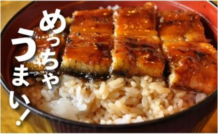 心に染みる「かけはし」の味 特大 うなぎの蒲焼き 白焼き（各2尾） 秘伝のタレ付 鰻 