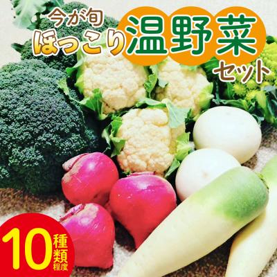 ふるさと納税 香南市 野菜セット まさに旬 ほっこり温野菜セット sy-0006