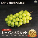 【ふるさと納税】6～7月に食べられる！温室栽培 シャインマスカット約800g (2房) 《本沢農園》■2025年発送■※6月上旬頃～7月下旬頃まで順次発送予定 フルーツ 果物 ぶどう ブドウ 葡萄 温室栽培