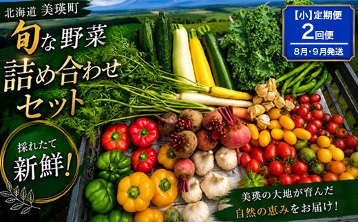 
                  季節の野菜セット【小】定期便 2回便 8月 9月発送 あらいふぁーむ | 野菜 セット 詰め合わせ 旬野菜 美瑛産野菜 無農薬 多品種野菜 北海道 美瑛 美瑛町 北海道産 美瑛産 8月 2回 2ヶ月 2ヵ月 2か月 [034-19]
                