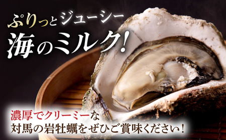 天然 岩ガキ 3kg  [WAD001] 岩がき 牡蠣 海鮮 魚介 牡蠣 かき カキ