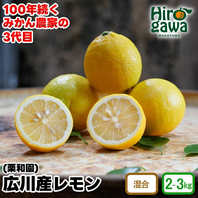 【ふるさと納税】 レモン 国産 / 和歌山 柑橘 2kg 3kg 7000円 ※2月上旬〜3月中旬に順次発送 //lemon