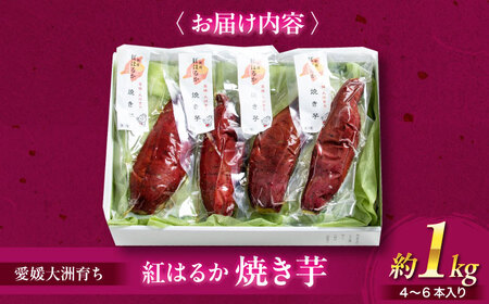 愛媛大洲育ち 熟成紅はるか焼き芋 1kg（4から6本入り） さつまいも やき芋 冷蔵 小分け 個包装 愛媛県大洲市/(有)玉井民友商店[AGBY007]