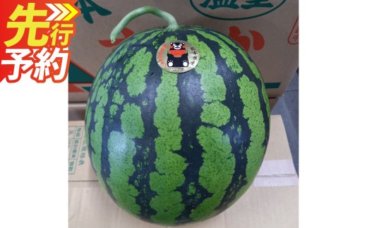 ＜ R8年熊本地震復興支援 ＞熊本特産！大玉スイカ 1玉 （約6kg以上） すいか スイカ 西瓜 果物 フルーツ 【2027年6月上旬～7月下旬発送予定】