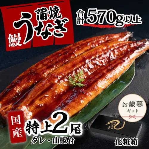 うなぎ 国産 特上 ウなぎ 蒲焼き 2尾 570g以上 ウナギ 化粧箱 お歳暮