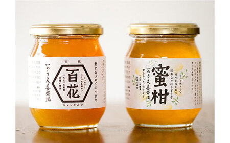 百花蜜＆蜜柑蜜詰め合わせセット（各300g） BKCF003 はちみつ