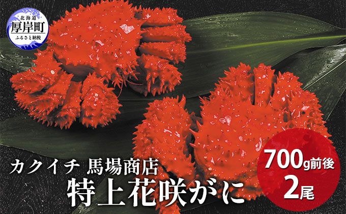 蟹屋厳選  北海道厚岸産 特上花咲がに 700g前後×2尾 蟹 かに