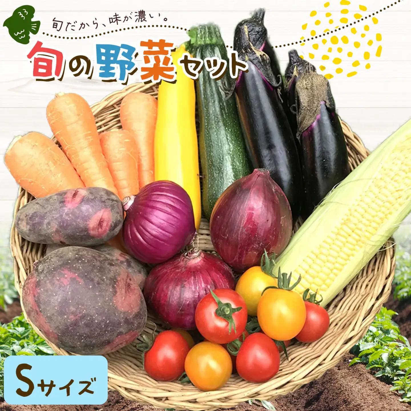 野菜 旬の野菜セット Sサイズ 約6～7種 ベジLIFE!! 【配送不可地域あり】（沖縄・離島）