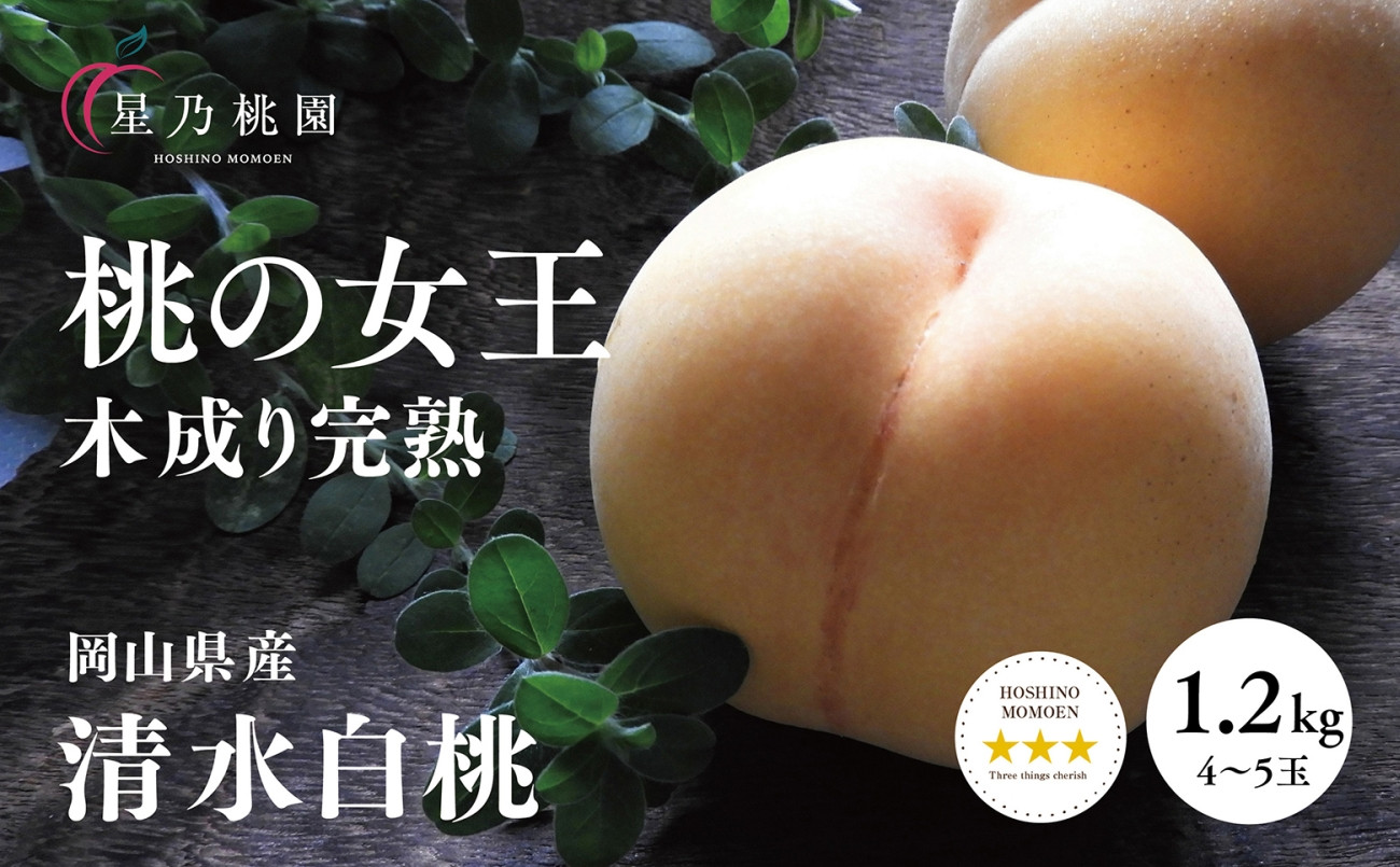 
                  先行受付＜清水白桃＞岡山県産 三つ星 星乃桃園 1.2kg (4～5玉)_白桃 桃 もも 清水白桃 しみずはくとう 最高品種 白い宝石 果物 フルーツ 贈答 ギフト 化粧箱 人気 岡山県 津山市 送料無料【1614283】
                