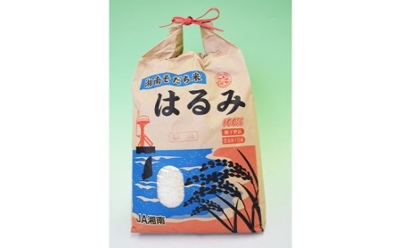 おうちで鯛ご飯と平塚米「はるみ2kg」セット