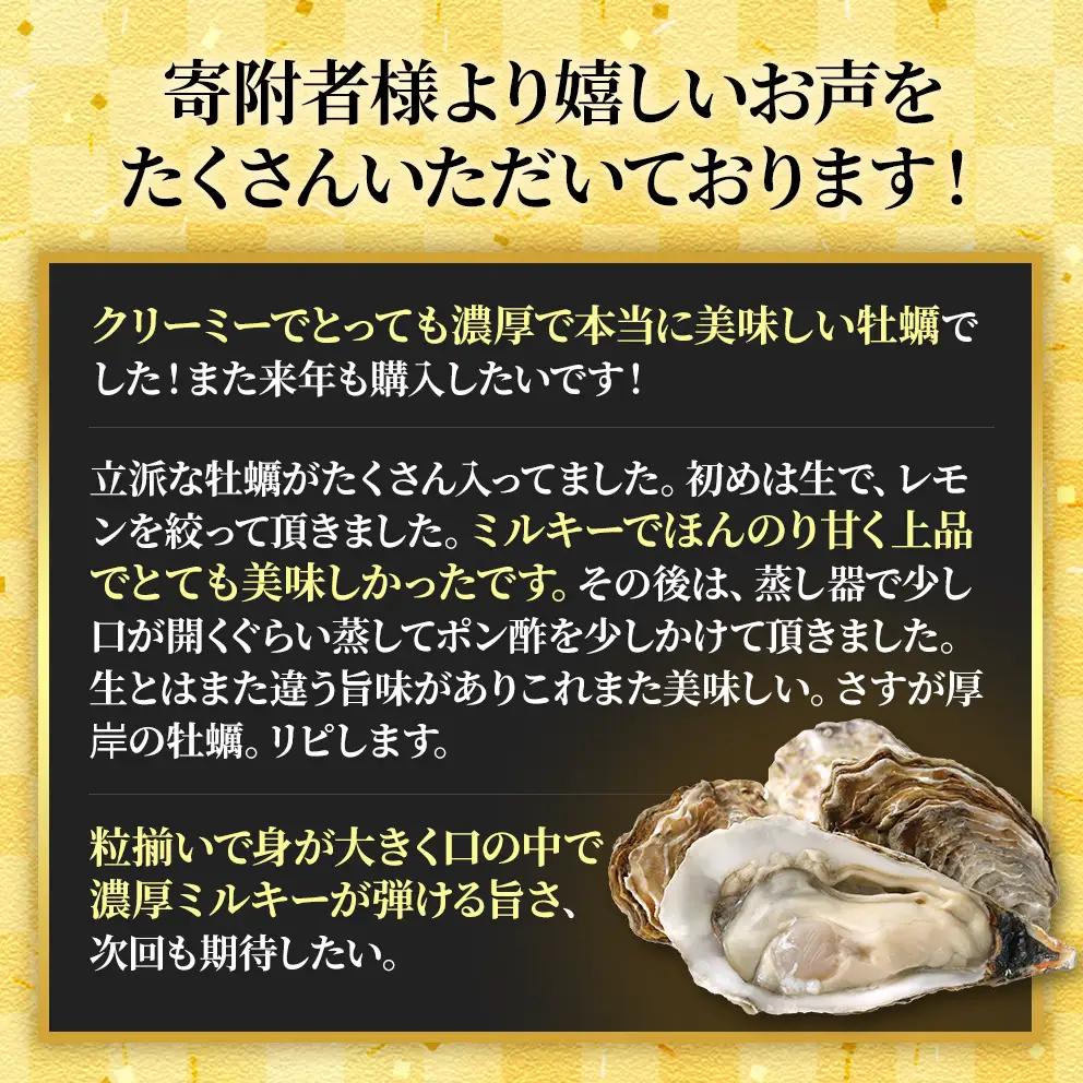 生食用 殻付カキ LLサイズ 10個 マルえもん 生牡蠣 北海道 厚岸産 牡蠣