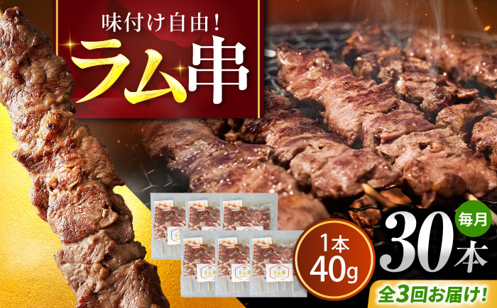 【3回定期便/毎月】羊肉 ラム串 30本 | ストレイシープ [BOAP026]
