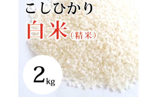 
                  大山の一粒　白米 2kg
                