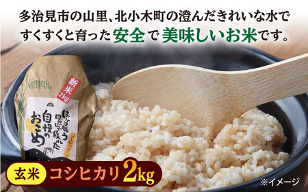 【令和5年産：玄米】 特別栽培米 コシヒカリ （2kg） + 【美濃焼】 赤絵かいらぎ マグカップ （2個） 【山松加藤松治郎商店】[TEU002]