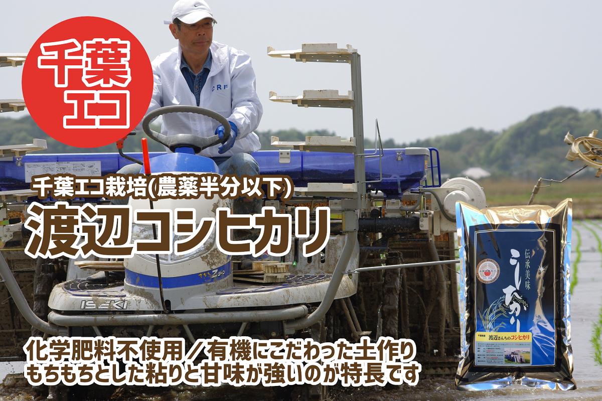 
《数量限定》令和5年産 千葉県産 渡辺さんのコシヒカリ（千葉エコ栽培） 5kg
