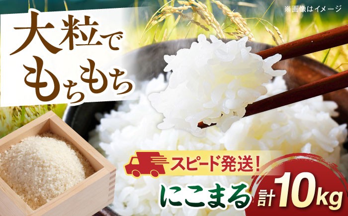 
                  【令和7年産】【スピード発送】にこまる 玄米品質1等米 白米 10kg 糸島市産 糸島市 / 糸島の恵み  [AGR002] お米 こめ コメ ご飯 にこまる 10kg 国産 ごはん ライス 大粒 精米 最速 最速配送
                