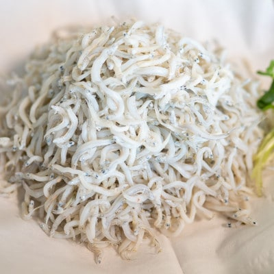 
            日間賀島 釜揚げ しらす 1kg 天然 塩 愛知県 南知多町 冷凍 ご飯 国産 ごはん パスタ サラダ 人気シラス 美味しいシラス釜揚げシラス しらす丼 国産シラス 新鮮しらす ピザ 丼 料理 国産 パーティー 魚 さかな 魚介 鮮魚 シラス ミネラル 人気 おすすめ 人気しらす 美味しいしらす コメ に合う お米 に合う ダイエット ちりめん ちりめんじゃこ シラス しらす しらすごはん shirasu sirasu SIRASU 人気シラス
          