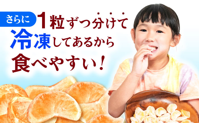 ※【2025年11月発送分／先行予約】冷凍 伊木力みかん 400g×4袋 計1.6kg / みかん ミカン 蜜柑 冷凍みかん 伊木力みかん 冷凍 / 諫早市 / 山野果樹園 [AHCF006]