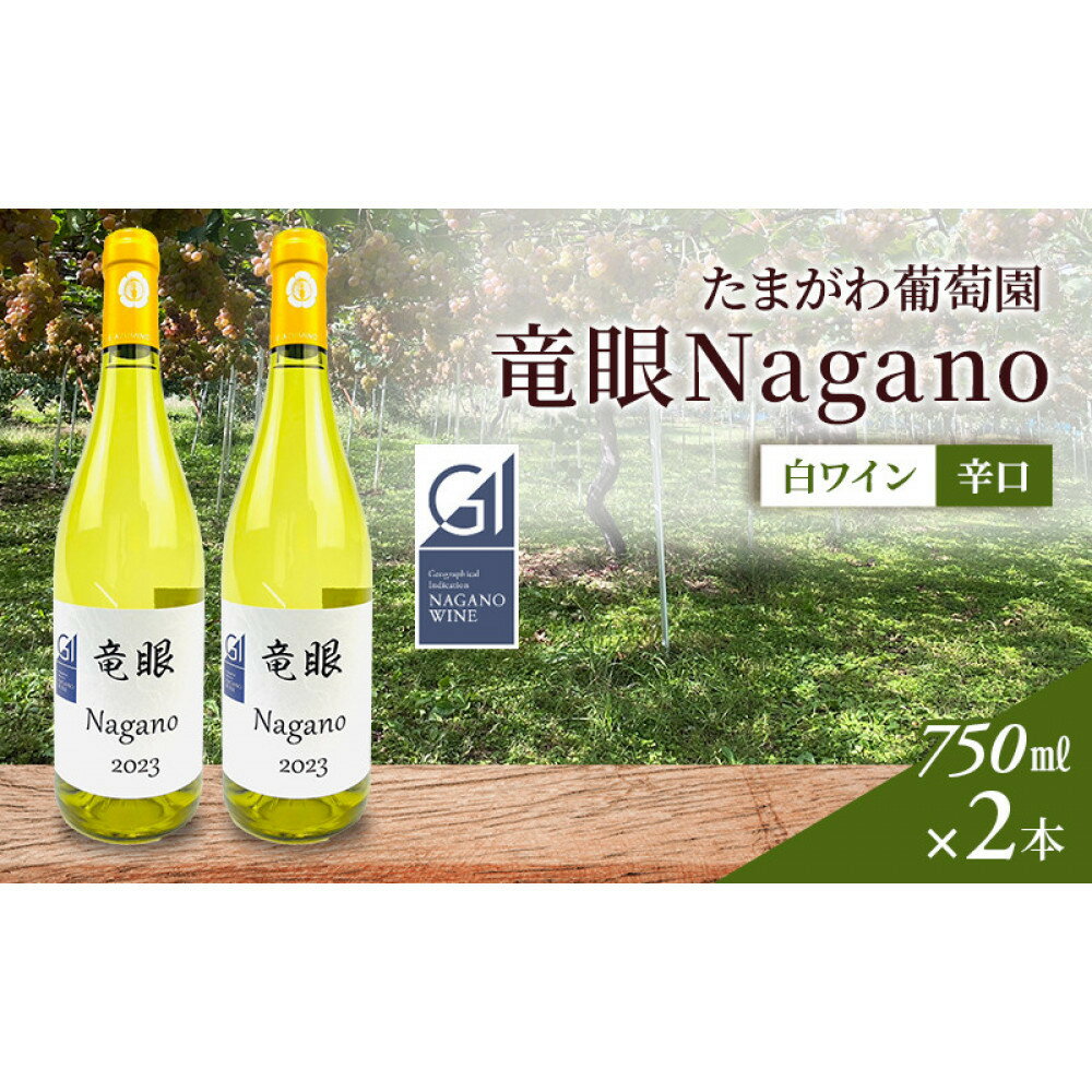 【ふるさと納税】ワイン　竜眼Nagano　【GI長野】認定　750ml×2本 | 長野市 白ワイン