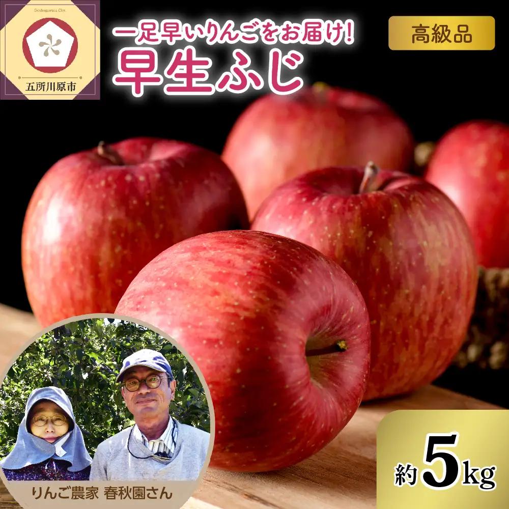 りんご　約5kg早生ふじ【2026年10月上旬発送】高級品贈答りんご