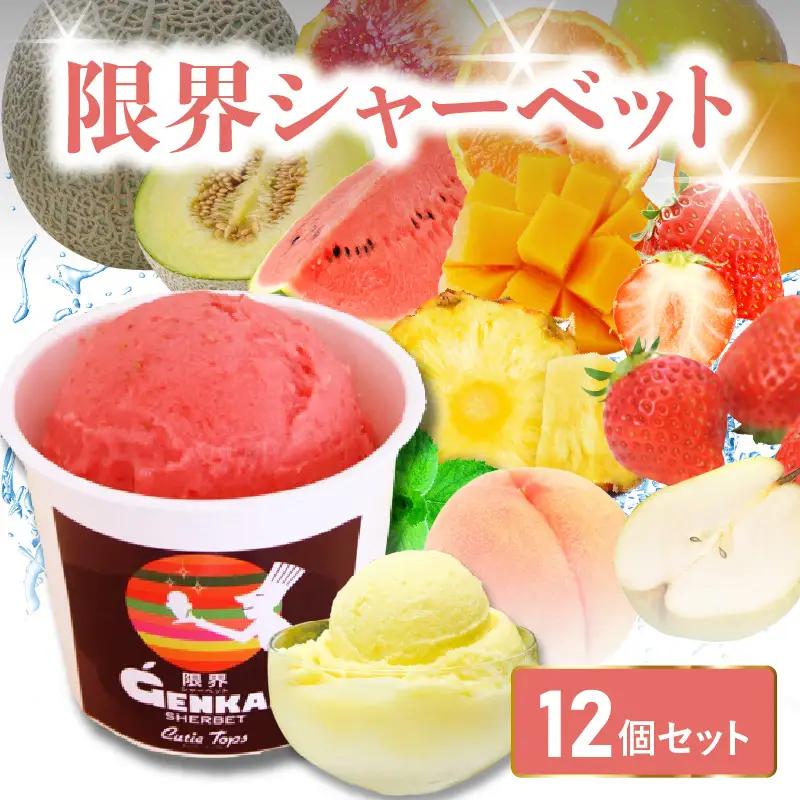 限界シャーベット 12個セット J06019