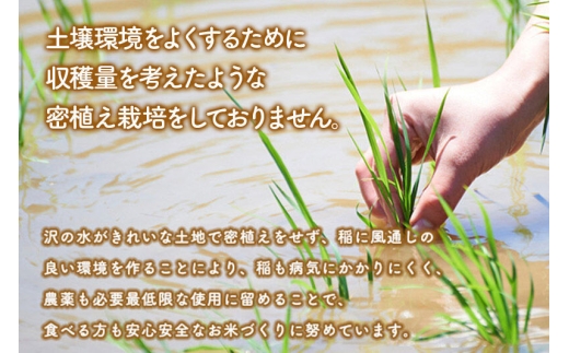 《定期便10ヶ月》【白米】家計お助け米 あきたこまち 20kg（5kg×4） 秋田県産 令和7年産  こまちライン 秋田県 大仙市産 [秋田 お米 米どころ あきたこまち こまちライン]