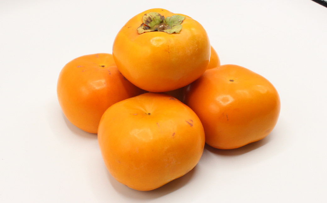 秋のフルーツの王様・ブランド柿「秋王」化粧箱 約1.75kg【2024年10月下旬～11月下旬発送予定】