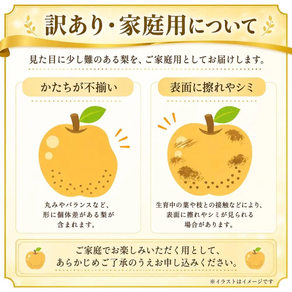【常温便・訳あり/ご家庭用】あきづき　3kg　5～10玉
