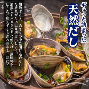 北海道 厚岸産 あさり 500g×2パック (合計1kg) 大中混合 アサリ 魚貝 海 美味しい 栄養 旨み 砂出し 水洗い 冷蔵 冷凍保存可能 便利