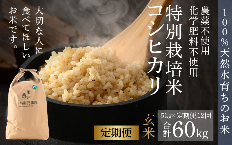 
【令和6年産 新米】《定期便12回》伊与衛門農園のコシヒカリ 玄米 5kg（計60kg） 特別栽培米 化学肥料不使用 ＜温度と湿度を常時管理し新鮮米を出荷！＞／ 高品質 鮮度抜群 福井県あわら産 ブランド米 お米
