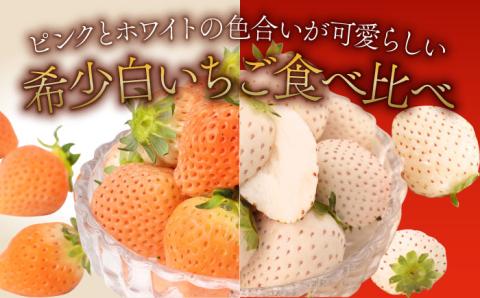【先行予約】【産地直送】白石産 希少 白いちご「淡雪」＆「パールホワイト」食べ比べ セット【ハヤシだファーム】イチゴ [ICQ001]