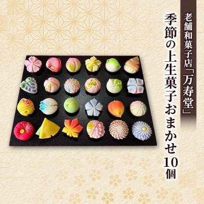ふるさと納税 羽後町 季節の上生菓子おまかせ10種(計10個)[No.5325-0435]