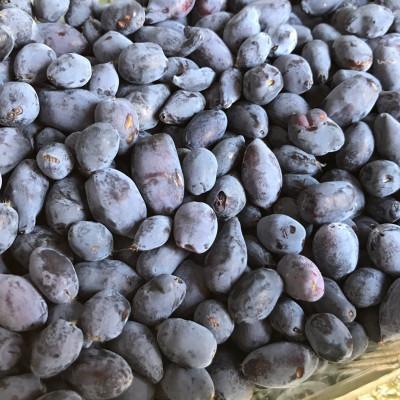 ふるさと納税 美唄市 真野農園のハスカップ(600g×2) |  | 01