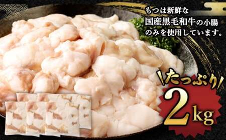 【9月発送】 国産牛もつ鍋 20人前 ちゃんぽん 濃縮スープ付（醤油味） 黒毛和牛 国産牛 牛もつ ホルモン 冷凍 岡垣町