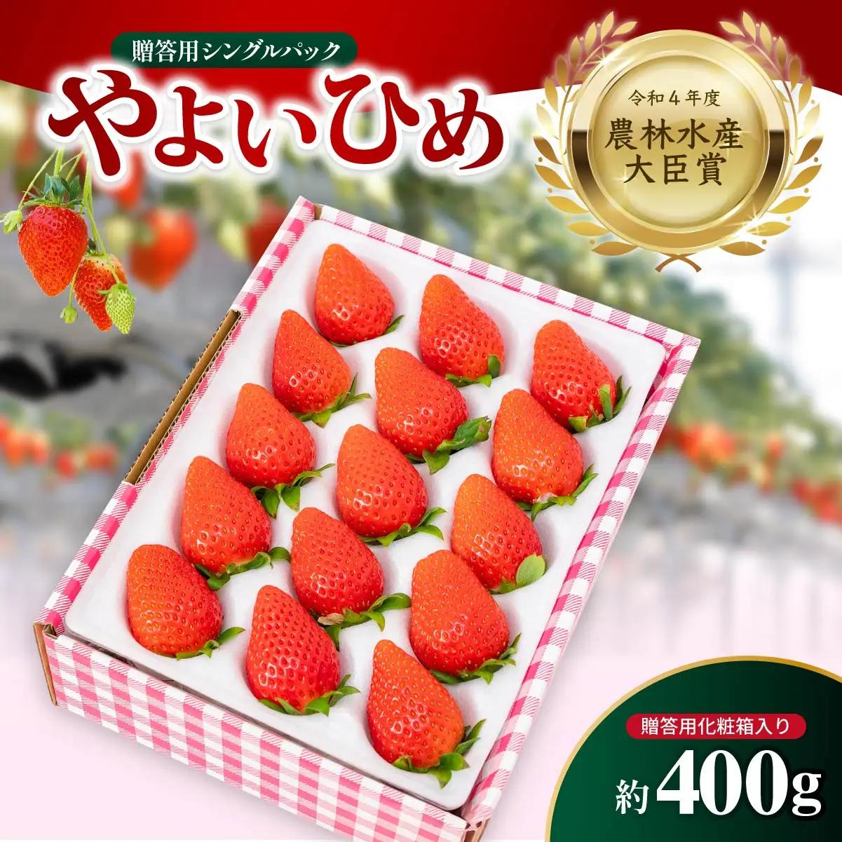いちご やよいひめ 贈答用 シングルパック 約400g入りトレー いちご