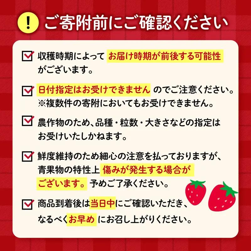 いちご 全3回定期便 やよい姫約920g いちご