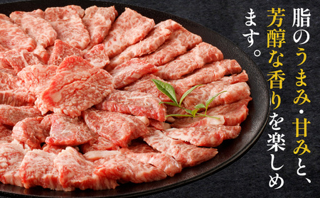 やみつきシリーズ宮崎牛カルビ定期便 肉 牛 牛肉 カルビ