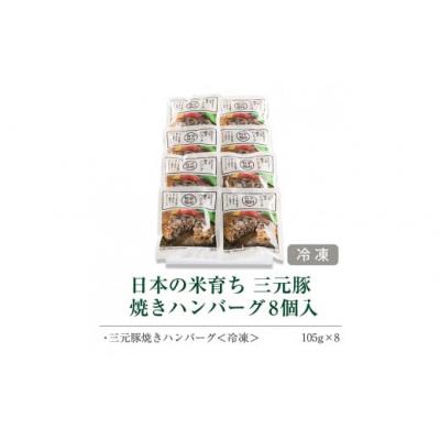 ふるさと納税 酒田市 【平田牧場】日本の米育ち◆三元豚焼きハンバーグ　8個 |  | 01