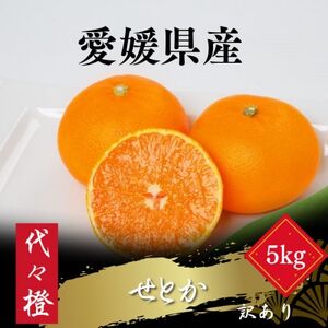 【最高の旨みと香りが詰まった】代々橙せとか【訳あり】5kg【E83-37】【1623736】
