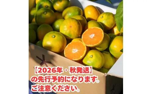 ゆら早生 みかん 3kg / 和歌山県 柑橘 みかん 甘い 蜜柑 フルーツ 果物 くだもの 食品 人気  晩柑 おすすめ 送料無料 産地直送 由良町  ※2026年10月上旬頃～10月下旬頃に順次発送