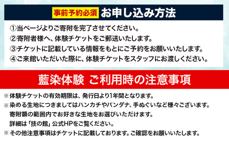 藍染体験 一般社団法人ジャパンブルー上板 《30日以内出荷予定(土日祝除く)》