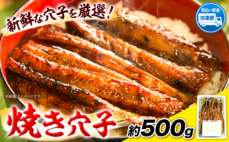 焼き穴子 約500g 笠岡魚市場《45日以内に出荷予定(土日祝除く)》岡山県 笠岡市 穴子 海鮮 魚 お魚---A-06a---