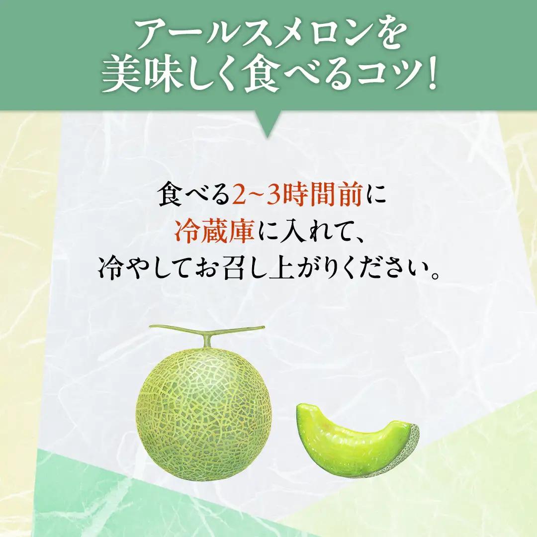 【 先行予約 】茨城県産 アールスメロン 秀品 3L サイズ × 2玉 入り 【 2026年8月下旬から発送 】